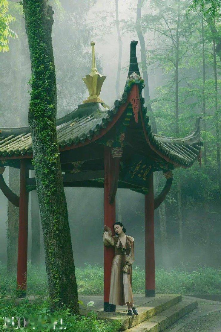 转子发动机的车有哪些?知识星球-专注知识分享与交流平台